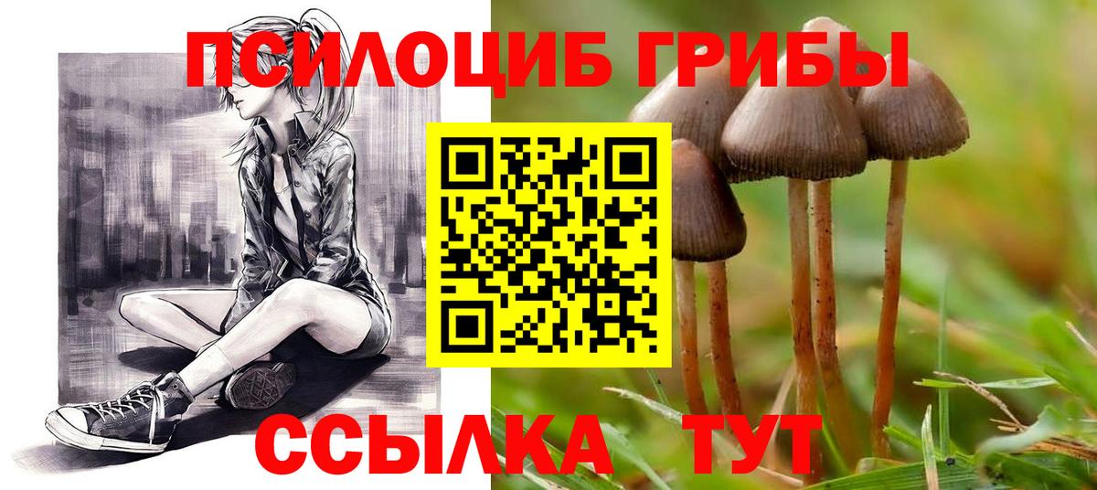 Галлюциногенные грибы Psilocybine cubensis  Вход с VPN  Омск 